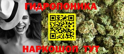 кокс Кингисепп