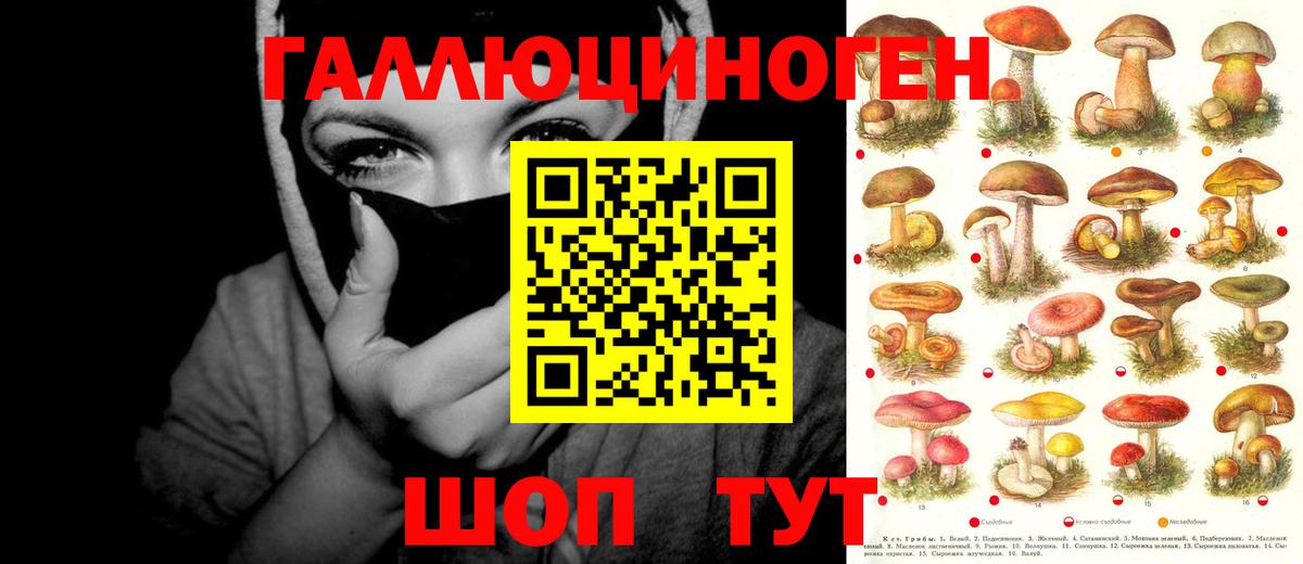 Псилоцибиновые грибы мицелий Ярославль
